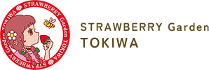STRAWBERRY Garden TOKIWA
